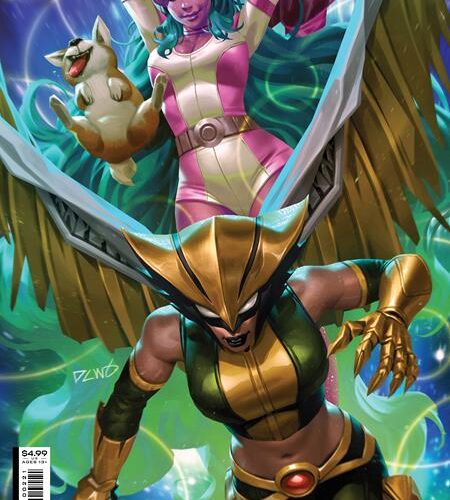 HAWKGIRL #2 (OF 6) CVR B DERRICK CHEW CARD STOCK VAR