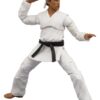 5ae03702-eb6f-4236-acc4-ffb7c8191b4d KARATE KID ALL-VALLEY TOURNAMENT DANIEL LARUSSO 6IN AF