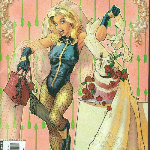 BLACK CANARY WEDDING PLANNER