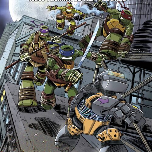 TMNT NEW ANIMATED ADVENTURES TP VOL 03