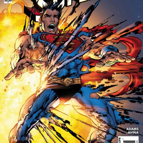 SUPERMAN THE COMING OF THE SUPERMEN #4 (OF 6)