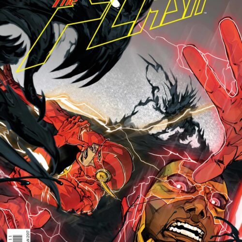 FLASH #11