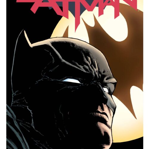 STL025380 BATMAN TP VOL 01 I AM GOTHAM (REBIRTH)