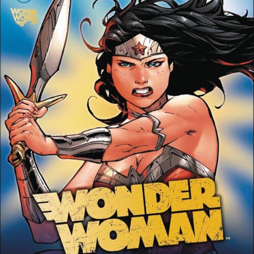 WONDER WOMAN ULTIMATE GUIDE TO AMAZON WARRIOR HC