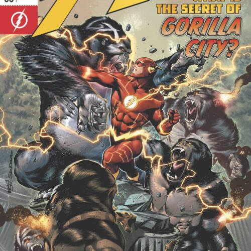 FLASH #58