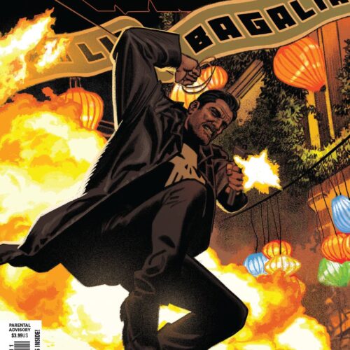 PUNISHER #8