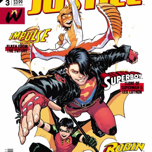 YOUNG JUSTICE #3
