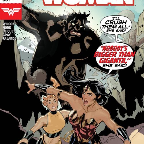 WONDER WOMAN #68