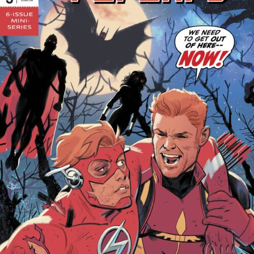 FLASH FORWARD #3 (OF 6)