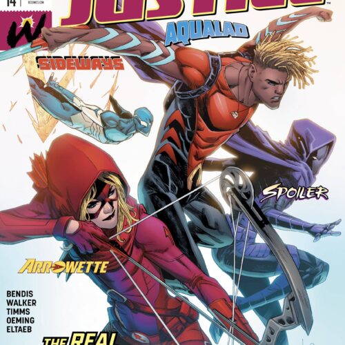 YOUNG JUSTICE #14