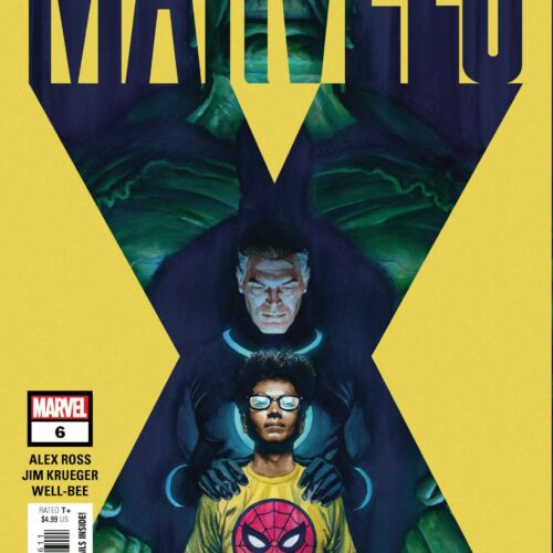 MARVELS X #6 (OF 6)