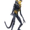 STL172990 ALIENS HEADSHOT ALIEN WARRIOR PX 1/18 SCALE FIGURE
