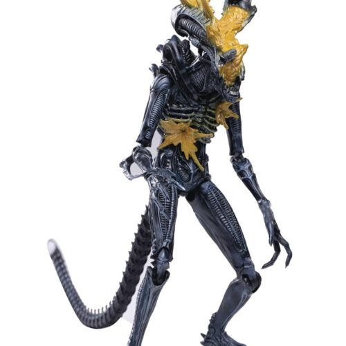 STL172990 ALIENS HEADSHOT ALIEN WARRIOR PX 1/18 SCALE FIGURE
