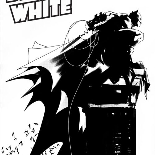 BATMAN BLACK & WHITE #2 (OF 6)