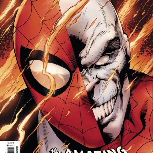 STL187169-scaled AMAZING SPIDER-MAN #67 - #69 + GIANT SIZE AMAZING SPIDER-MAN THE CHAMELEON CONSPIRACY #1 ( COMPLETE SET )