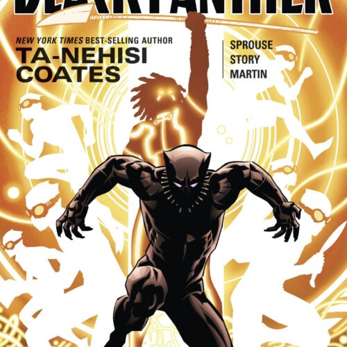BLACK PANTHER TP BOOK 02 NATION UNDER OUR FEET