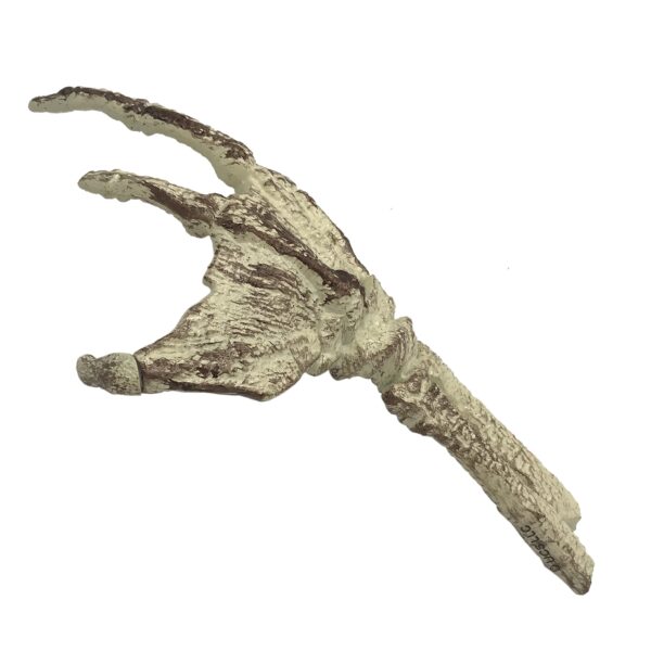 STL255376_3 UNIVERSAL MONSTERS FOSSILIZED CREATURE HAND PROP REPLICA