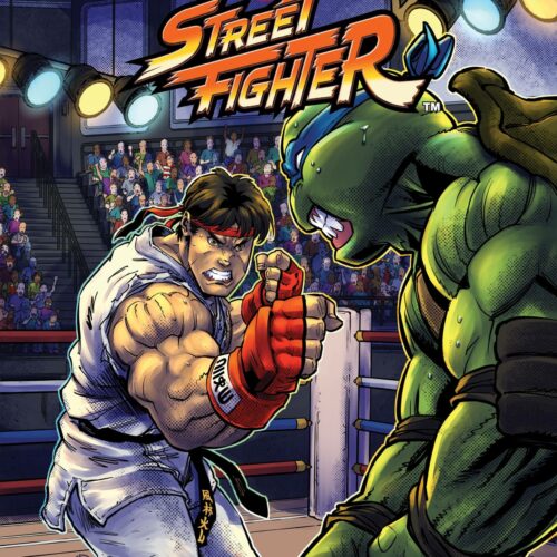 TMNT VS STREET FIGHTER #2 (OF 5) CVR A MEDEL