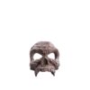 STL277308_2 INDIANA JONES ADV SER 6IN HELENA SHAW AF