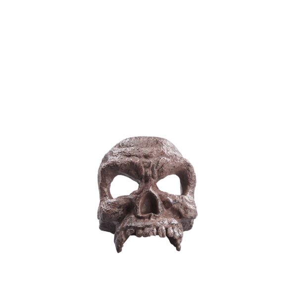 STL277308_2 INDIANA JONES ADV SER 6IN HELENA SHAW AF