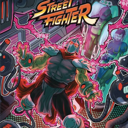STL278092 TMNT VS. STREET FIGHTER #4 (OF 5) CVR A MEDEL