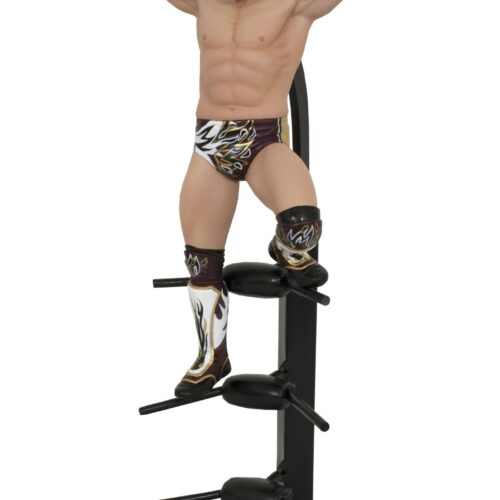 AEW GALLERY BRYAN DANIELSON PVC STATUE