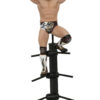 AEW GALLERY BRYAN DANIELSON PVC STATUE