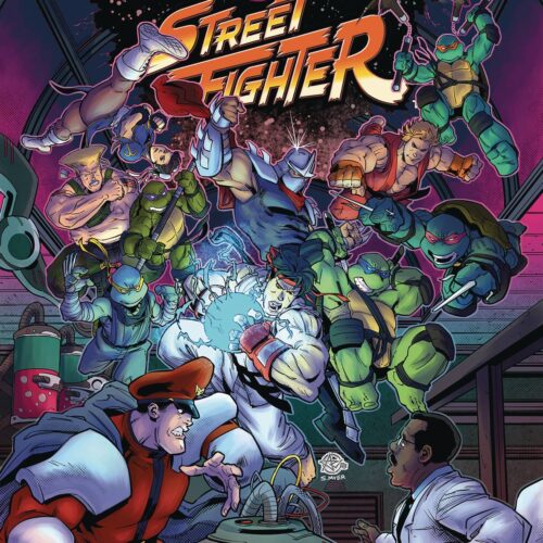 STL286908 TMNT VS. STREET FIGHTER #5 (OF 5) CVR A MEDEL