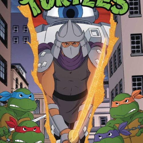 TMNT SATURDAY MORNING ADV 2023 #11 CVR A SCHOENING