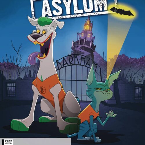STL306996 FCBD 2024 BARKHAM ASYLUM SPECIAL EDITION