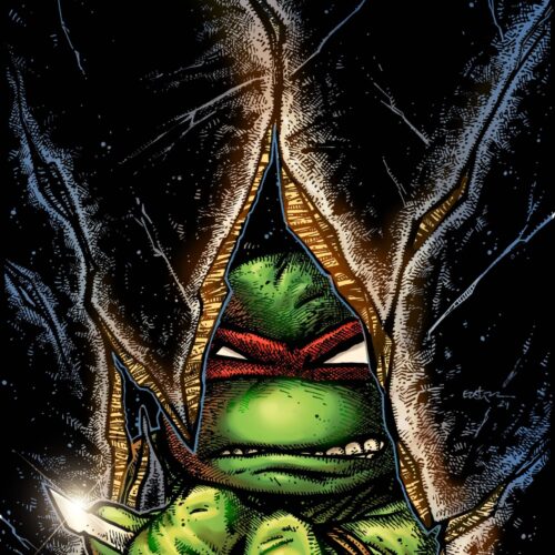 STL323001-scaled TEENAGE MUTANT NINJA TURTLES 2024 #1 CVR C EASTMAN
