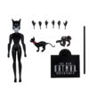 STL328335_10 DC NEW BATMAN ADV 6IN WV2 CATWOMAN AF