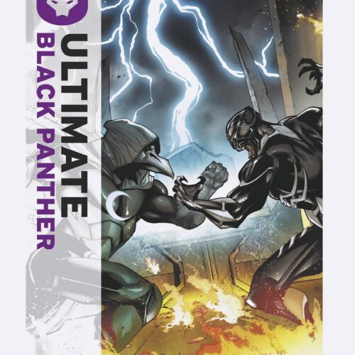 ULTIMATE BLACK PANTHER #12