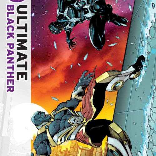 ULTIMATE BLACK PANTHER #14