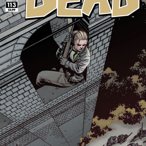 The-Walking-Dead-114-cover WALKING DEAD #113
