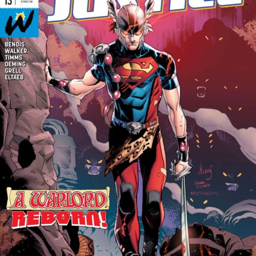 YOUNG JUSTICE #13