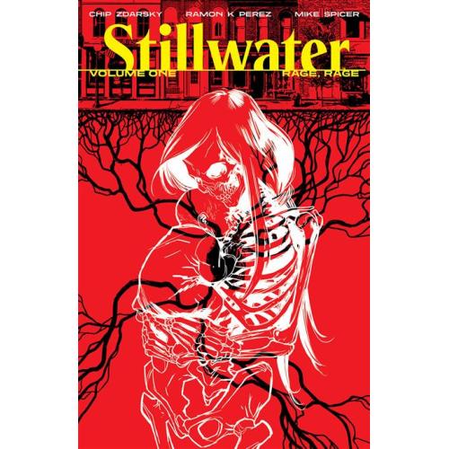 0121IM111 STILLWATER BY ZDARSKY & PEREZ TP VOL 01