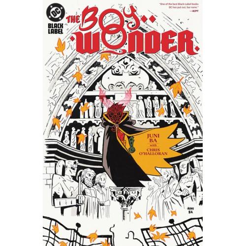 1024DC277 THE BOY WONDER HC