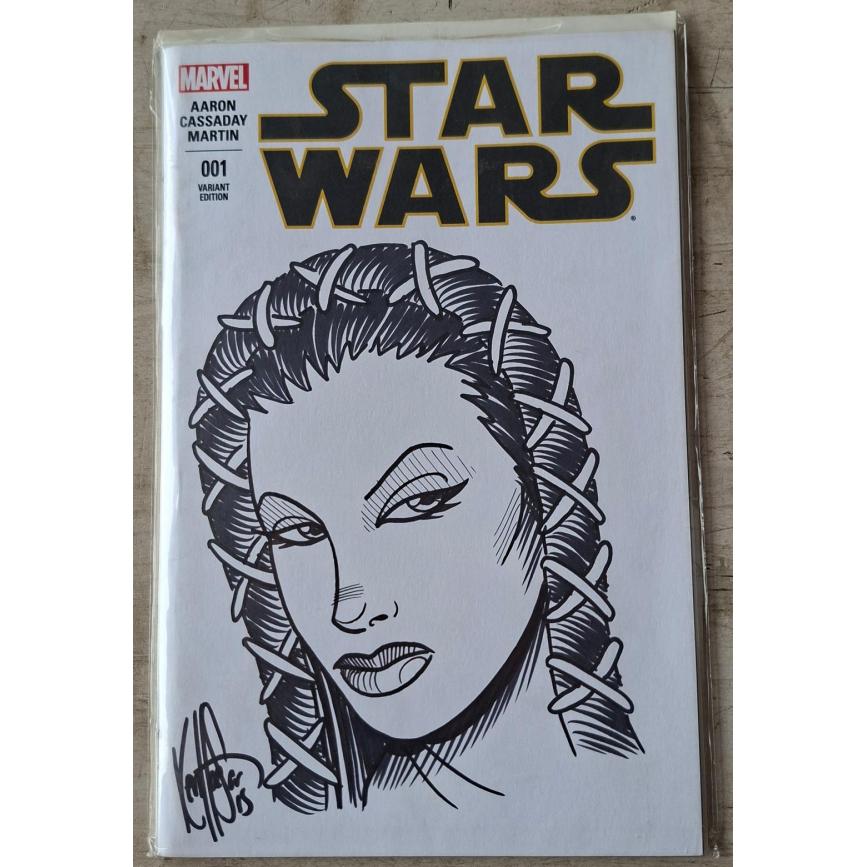 DF STAR WARS #1 ) SIGNED AND REMARKED BY KEN HAESER )