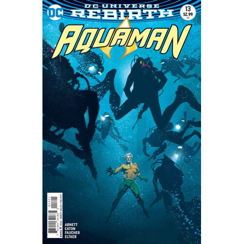 AQUAMAN #13 VAR ED