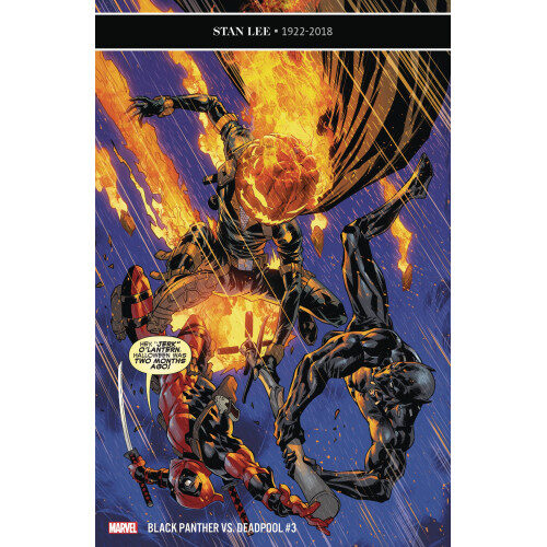 BLACK PANTHER VS DEADPOOL #3 (OF 5)
