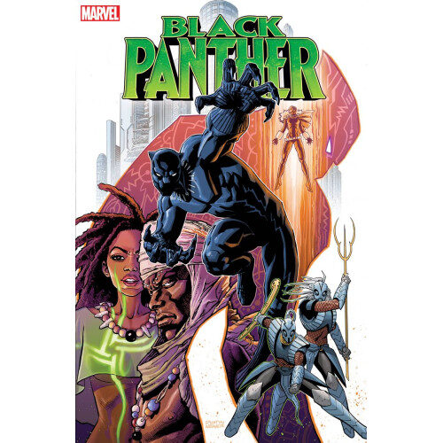 BLACK PANTHER #19 WEAVER VAR