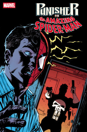 75960621549200411 PUNISHER VS. SPIDER-MAN #4