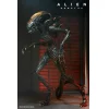 51741_UNP_11 Alien: Romulus Ultimate Scorched Xenomorph 7-inch Scale Action Figure