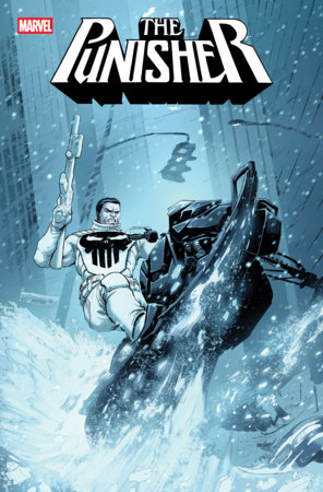 75960621516401211 PUNISHER #12 COVER A