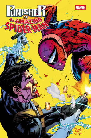 75960621549200211 PUNISHER VS. SPIDER-MAN #2